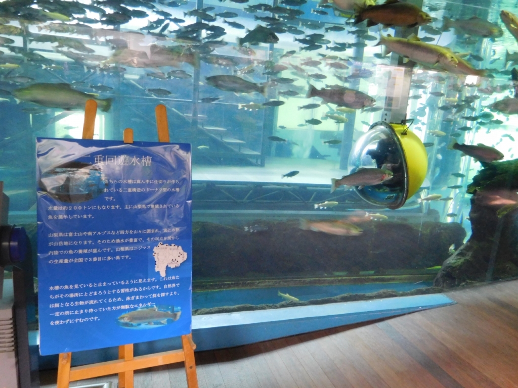 山梨県立富士湧水の里水族館 ぷらんジャ