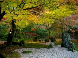 光明禅寺
