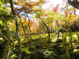 箱根美術館