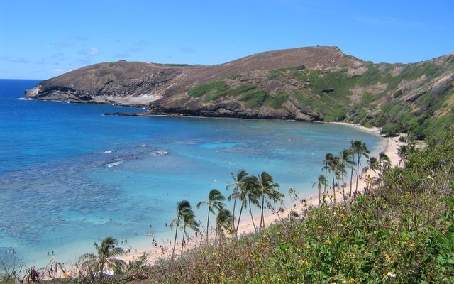 特集 ハワイの美しいビーチ ハナウマベイ でお魚と戯れよう オアフ島 ぷらんジャ